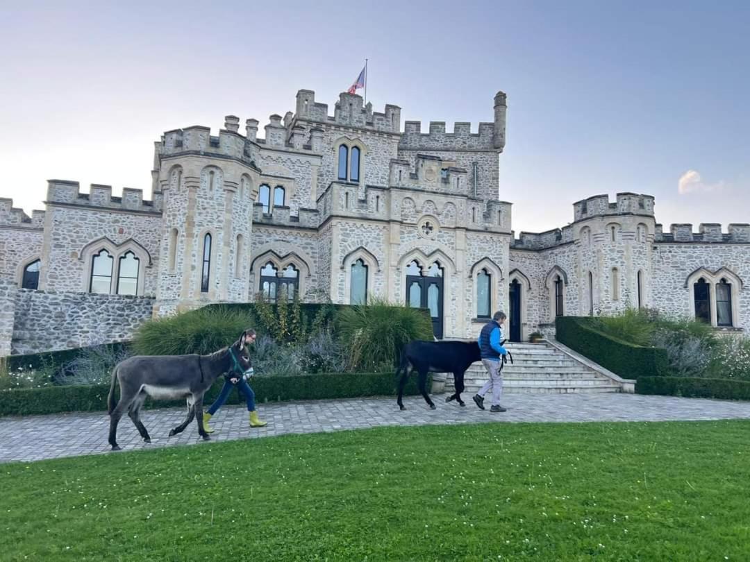 Les ânes du château d Hardelot, pour 2 à 5 pers Condette Esterno foto